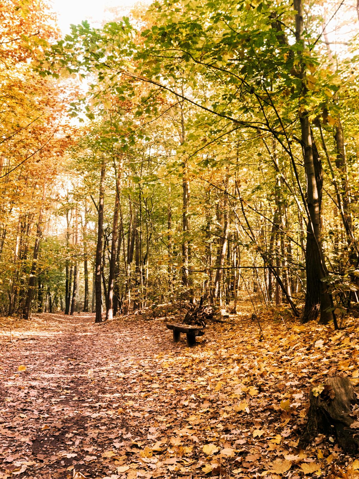Consulta clinica orientada a impacto funcional y calidad de vida.