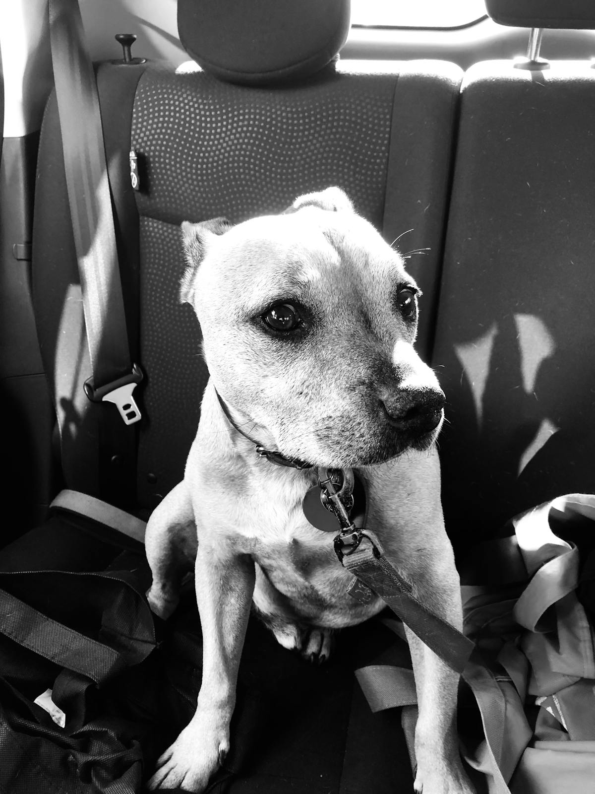 Revision clinica de bibliografia y plan terapeutico en consulta.